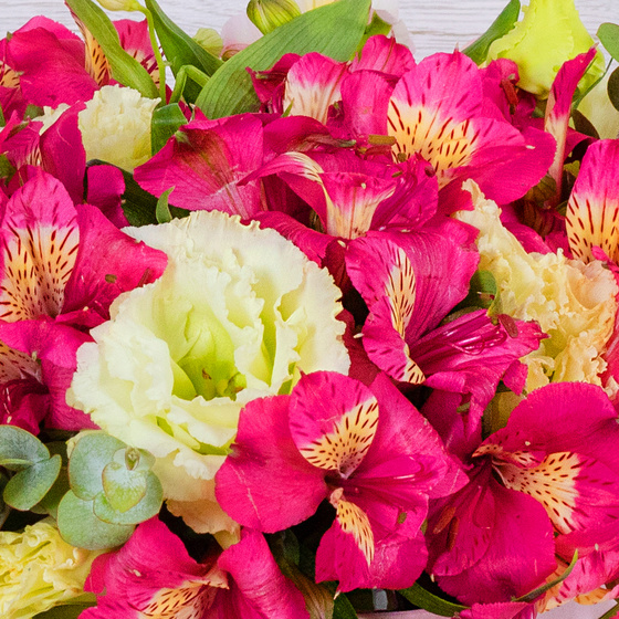 BOUQUET №3215 - фото 1