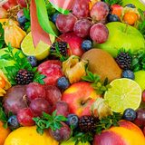 Фруктовая №1232