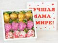 Набор №1260
